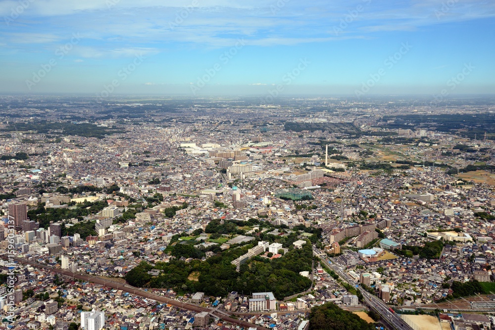 Obraz premium 千葉大園芸