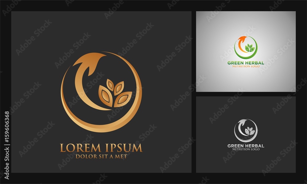 Fototapeta premium leaf arrow herbal logo