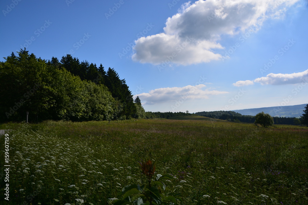 Blauer Himmel mit Wolken - Band