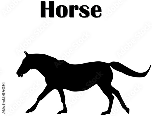 Black silhouette of horse running. Logo icon horse side view profile  white background  vector  eps 10