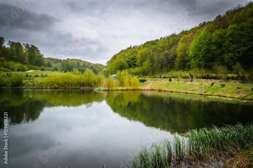Spring lake and forest on a cloudy day. © Olena Zn