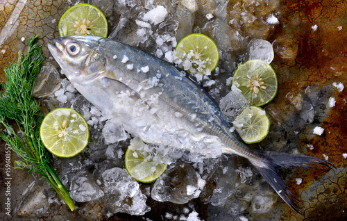 Fototapeta Naklejka Na Ścianę i Meble -  Frozen fresh trevally fish.