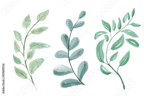 Set of watercolor leaves. Digital painting.