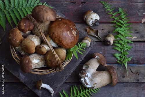 Composition of porcini in the basket on wooden background. White edible wild mushrooms. Copy space for your text