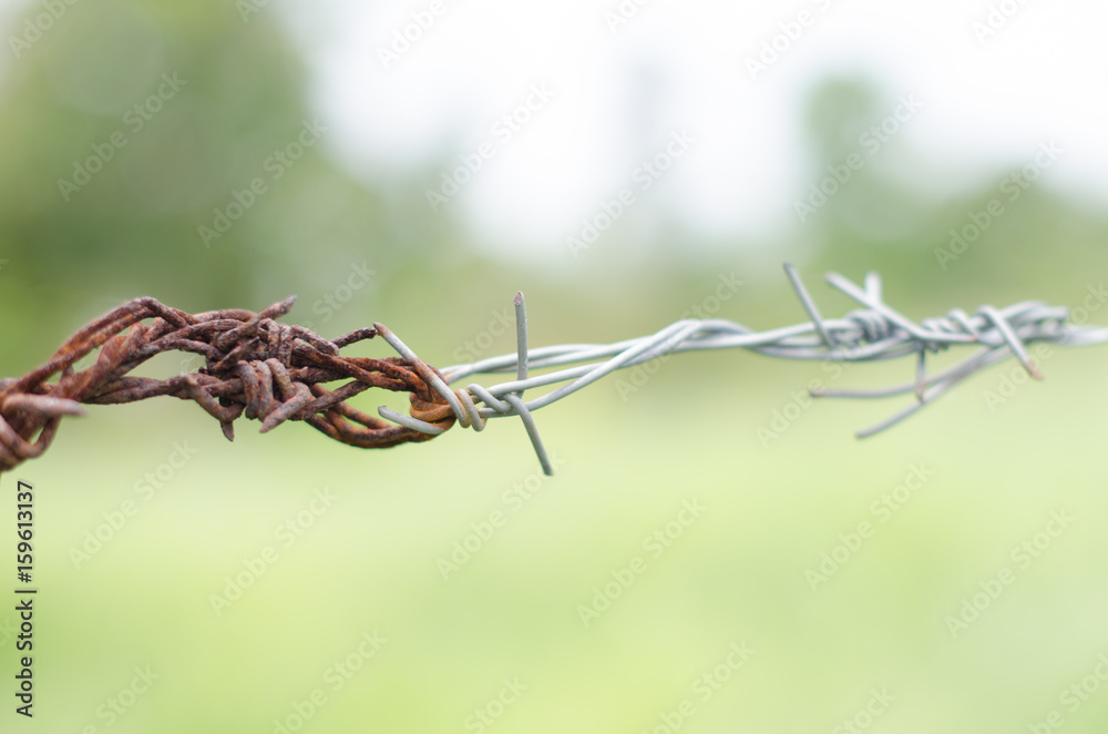 .Old rusted barbed wire fences with barbed wire fence. Beautiful contrasting color, blurred backdrop and beautiful bokeh. .Old rusted barbed wire fences with barbed wire fence. Beautiful contrasting color, blurred backdrop and beautiful bokeh.