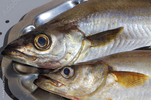 Lieux jaunes sur plat en étain