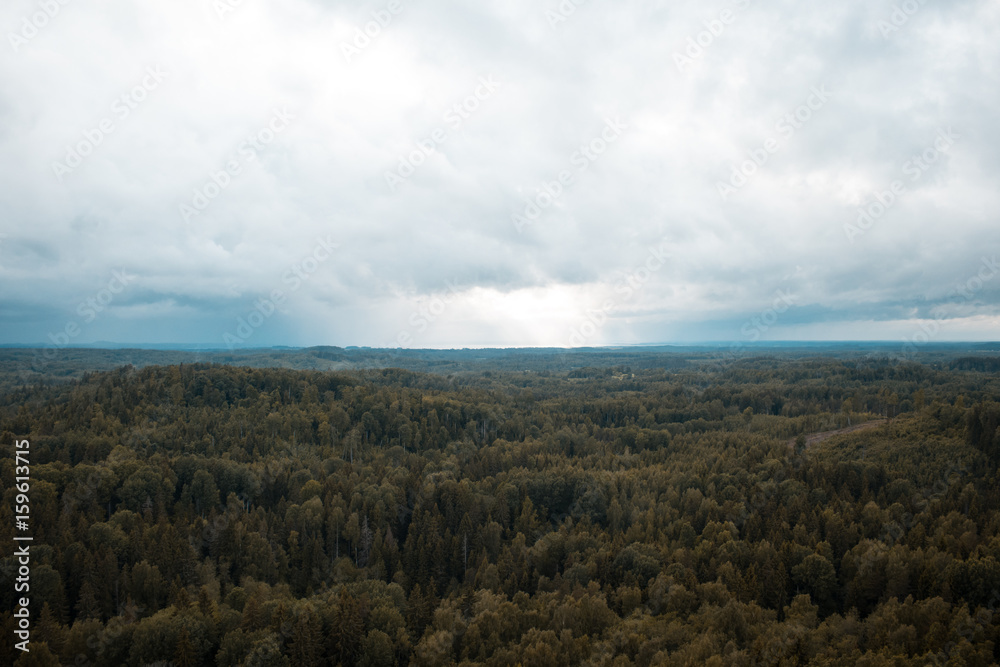 aerial view over the green forest in evening. Cloudy mystery. Landscapes of Latvia