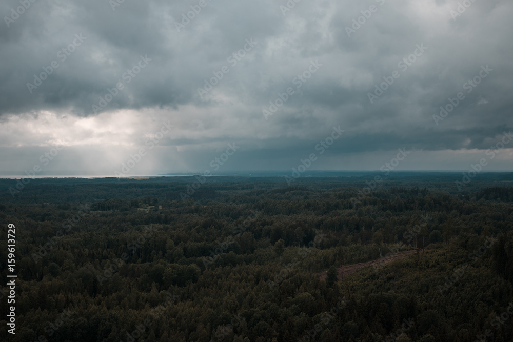 aerial view over the green forest in evening. Cloudy mystery. Landscapes of Latvia aerial view over the green forest in evening. Cloudy mystery. Landscapes of Latvia