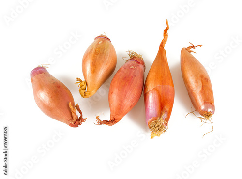shallot onions isolated on white background