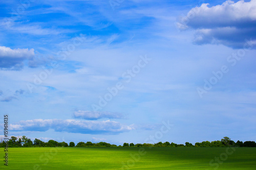 Summer field with trees and blue sky
