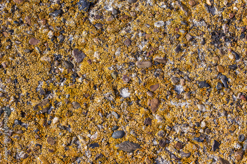 Texture of stone with mold