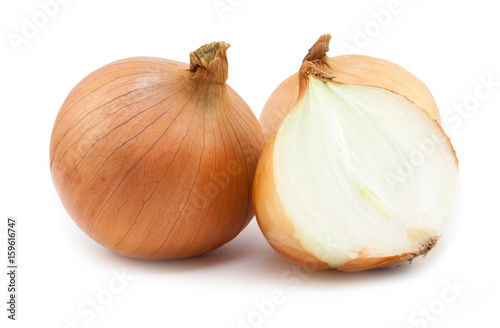 fresh bulbs of onion