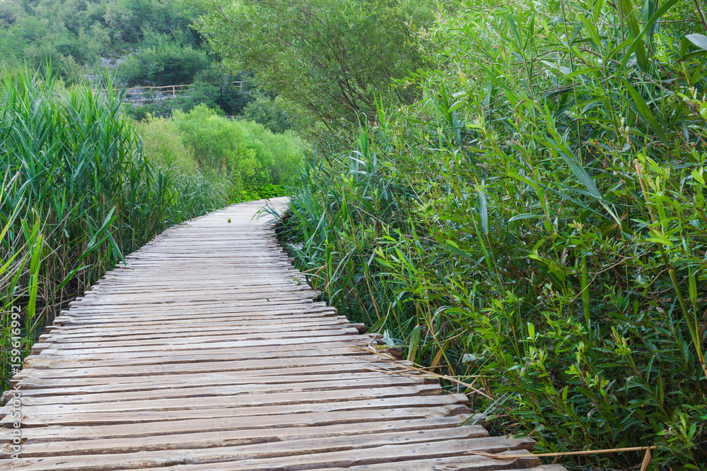 Obraz premium Wooden path across beautiful lake in sunny green forest