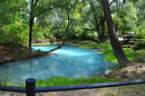 Beautiful blue lake in the green trees