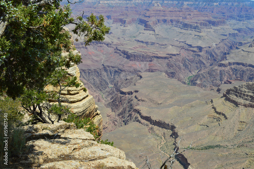 Grand Canyon Lanscapes
