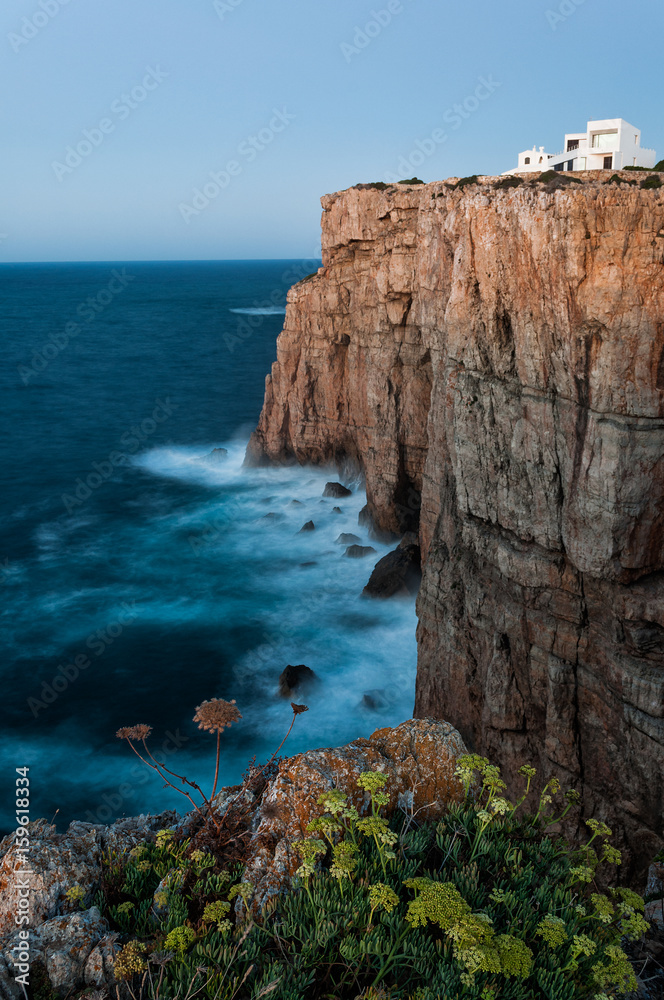 Menorca landscape with flowers and cliffs