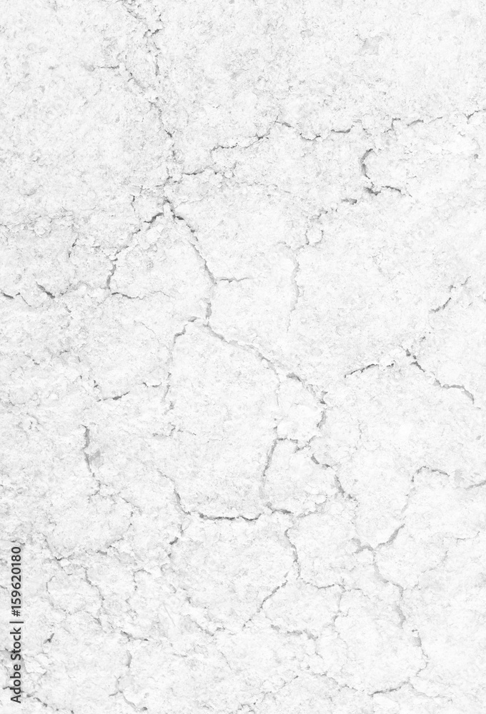 Soil cracks texture white background for design. Soil cracks texture white background for design.