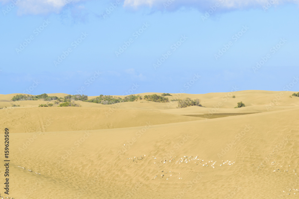 Sand Dunes on Gran Canaria Sand Dunes on Gran Canaria