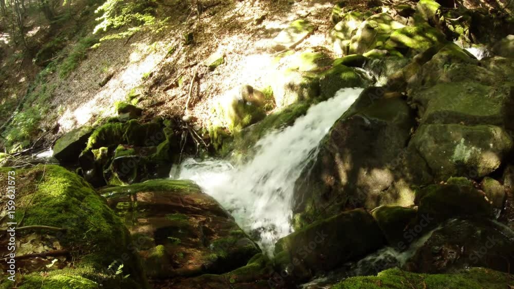 Moss-Covered Rapids of Mountainous River in Forest Moss-Covered Rapids of Mountainous River in Forest