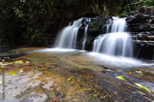 waterfall in rain forest