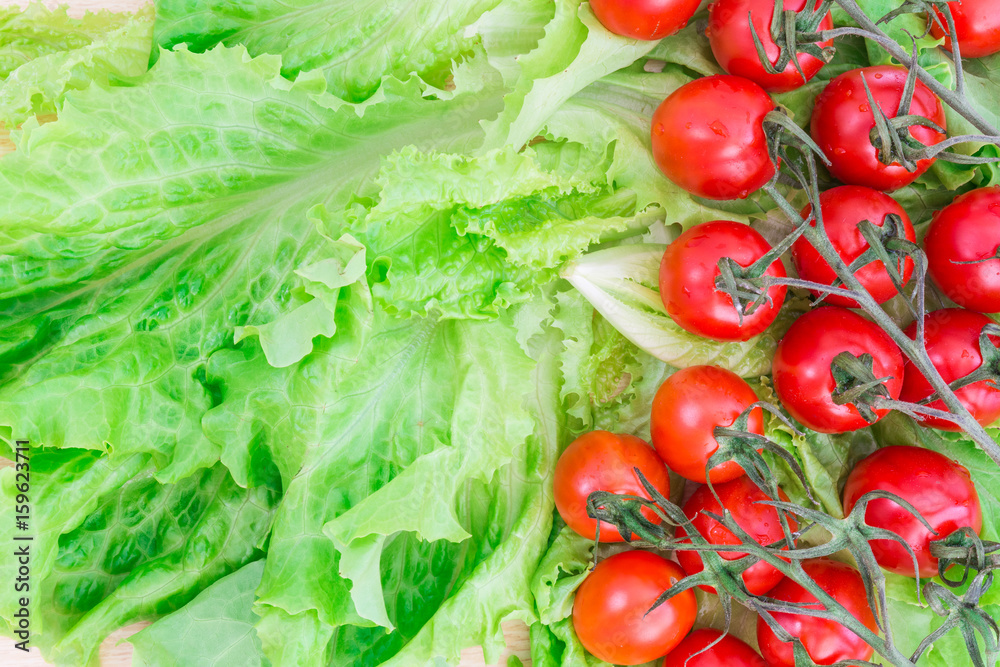 Cherry tomatoes covered with water drops lie on the basis of green lettuce leaves