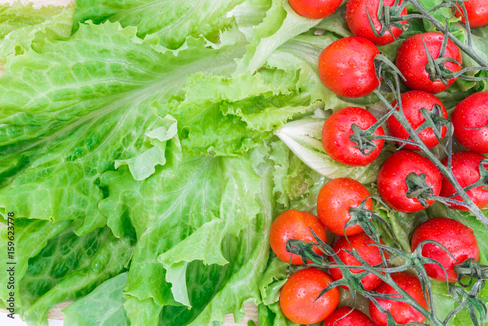 Cherry tomatoes covered with water drops lie on the basis of green lettuce leaves Cherry tomatoes covered with water drops lie on the basis of green lettuce leaves