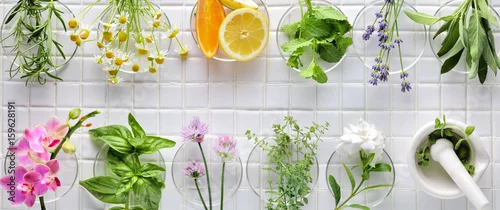 Panel kuchenny z motywem Fresh herbs