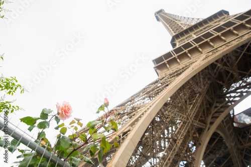 Eiffel Tower with Roses