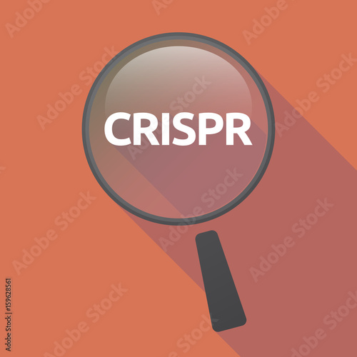 Long shadow loupe with  the clustered regularly interspaced short palindromic repeats acromym CRISPR photo