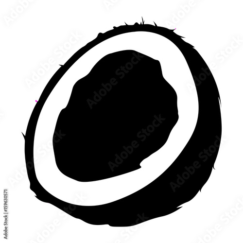 Isolated cut coconut silhouette