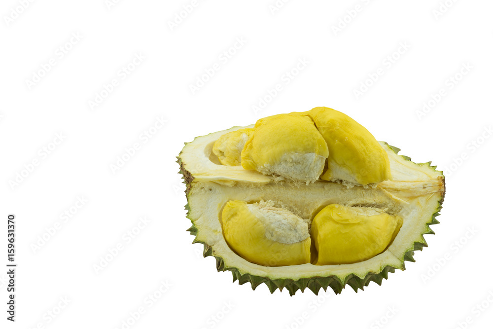 Durian King of Fruit isolated on white background Durian King of Fruit isolated on white background