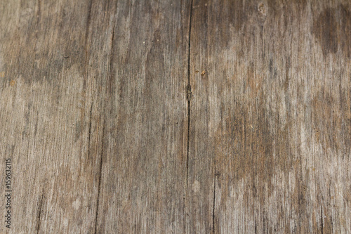 Wallpaper Mural wood texture background Torontodigital.ca