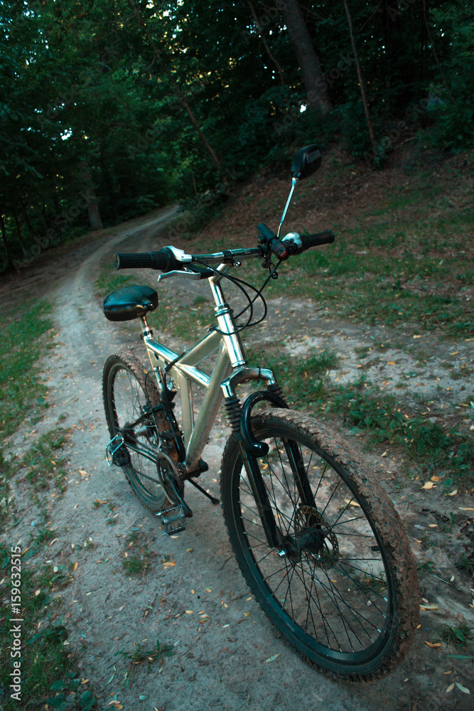 Mountain bike on a forest road in the evening.