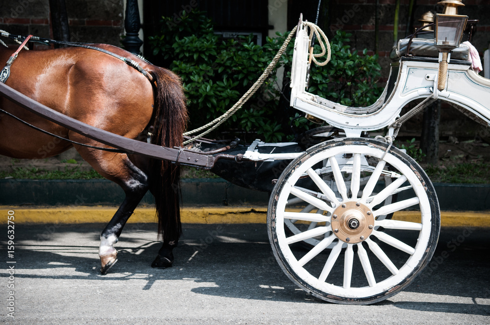 Horse&Carriage
