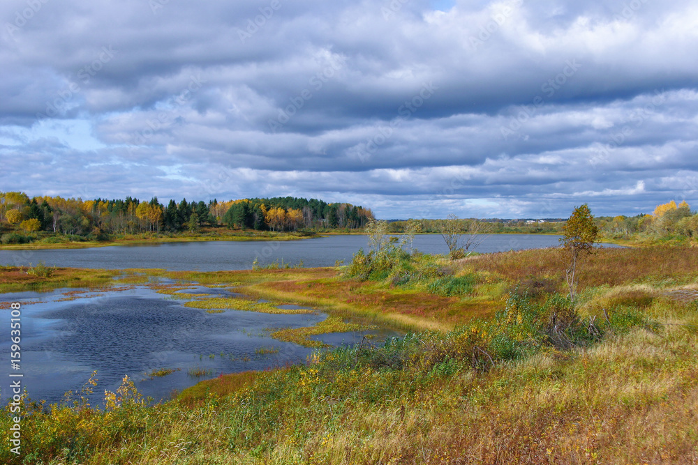 Forest landscape with a lake Forest landscape with a lake
