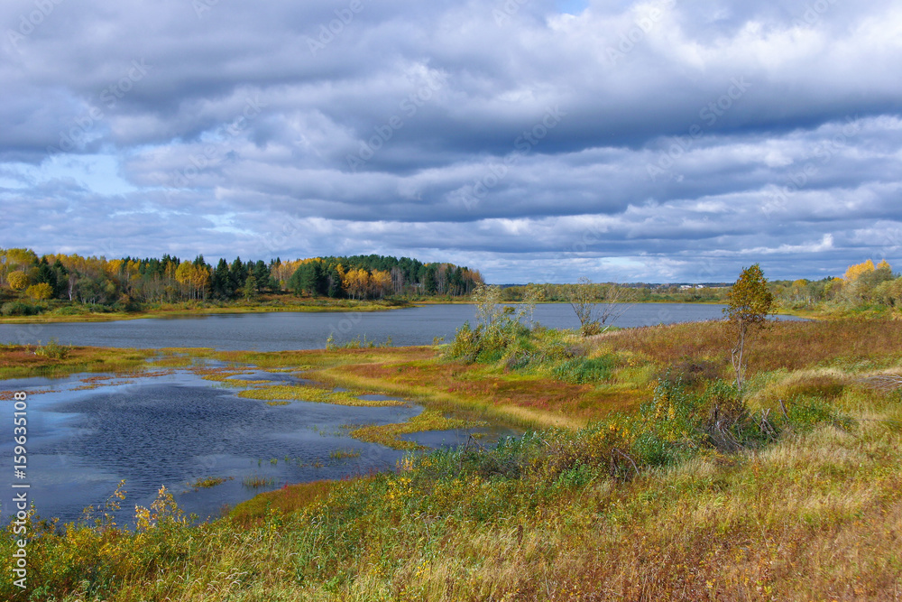 Forest landscape with a lake