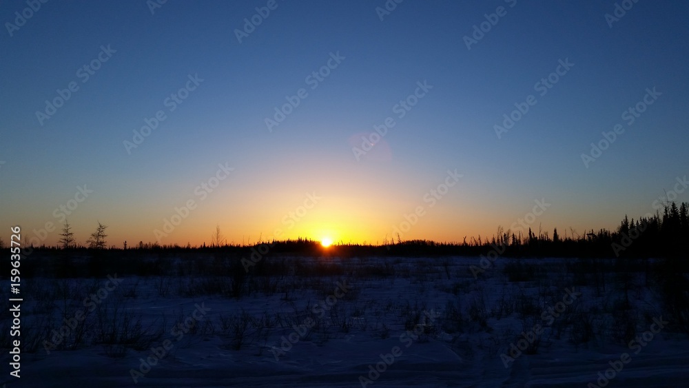 Yellow Sunrise Yellow Sunrise