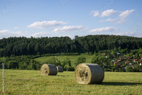 Straw rolls on meadow near forest during autumn. Slovakia