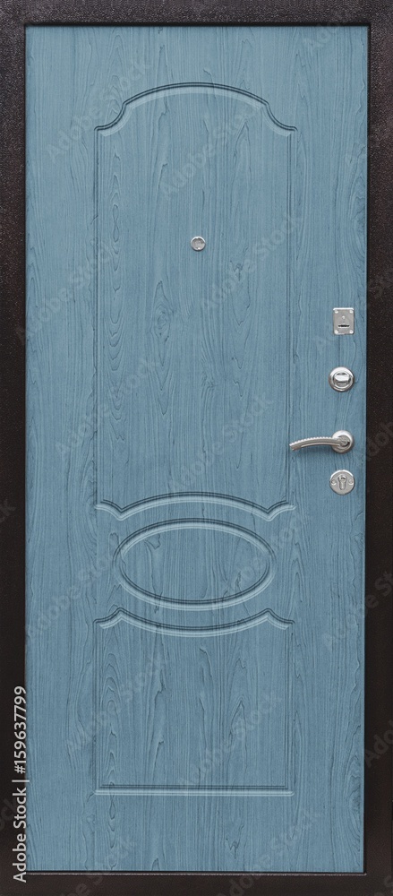 Entrance door (metal door, concept) Entrance door (metal door, concept)