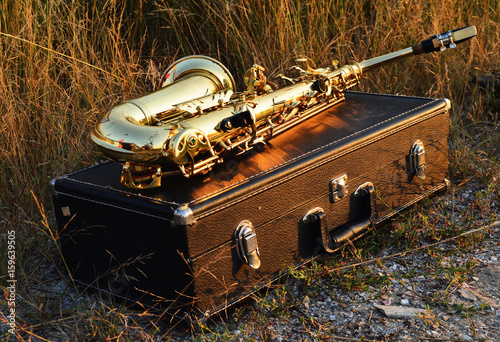 The saxophone lies on the box in nature