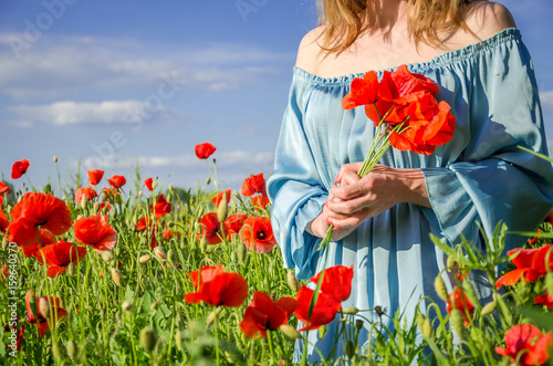 A young charming girl with long hair walks on a bright sunny summer day in a poppy field and makes a bouquet of poppy flowers