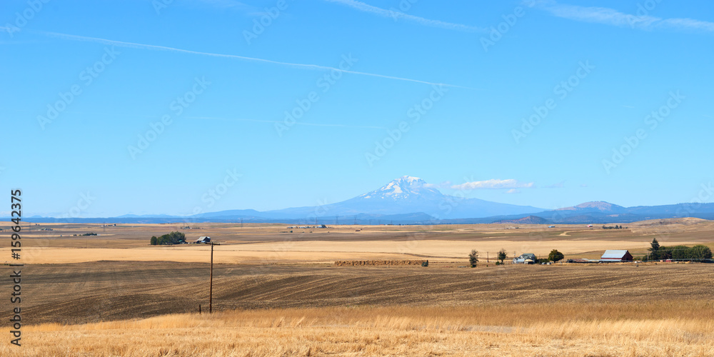 Panorama of scenic rural country view with Mount Adams at background in Eastern Oregon, USA.