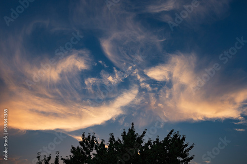 Strange cloud formation above maple tree