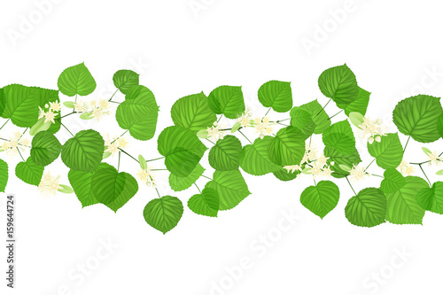 Forest fresh green leaves with sun rays. Spring and Summer Background