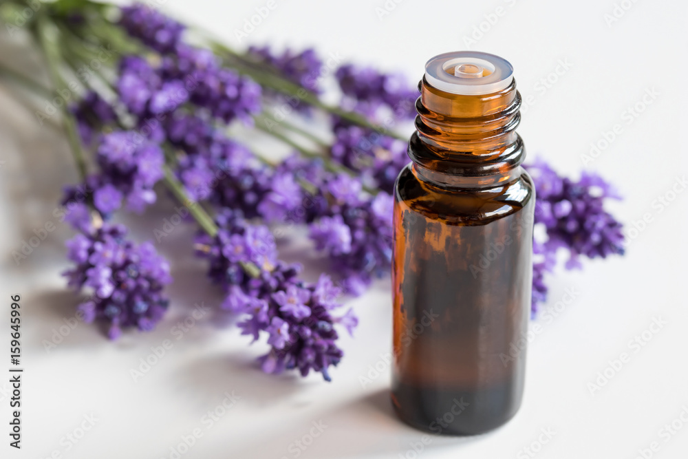 A bottle of lavender essential oil on a white background A bottle of lavender essential oil on a white background