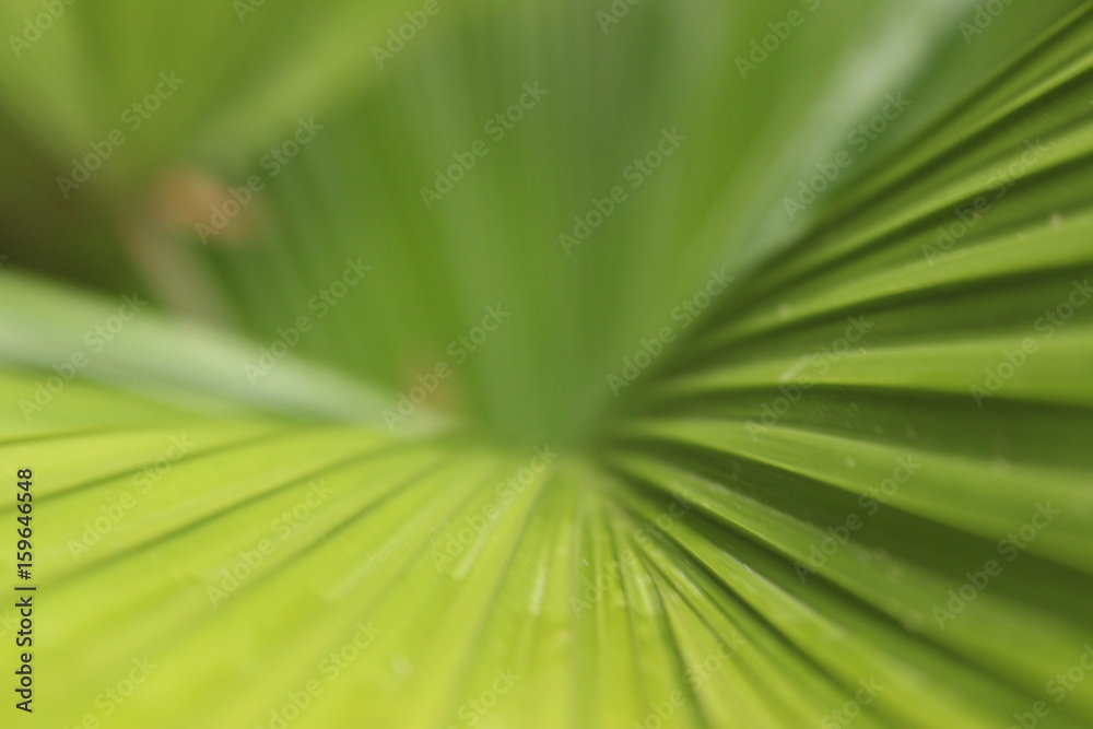 plata Republica Dominicana