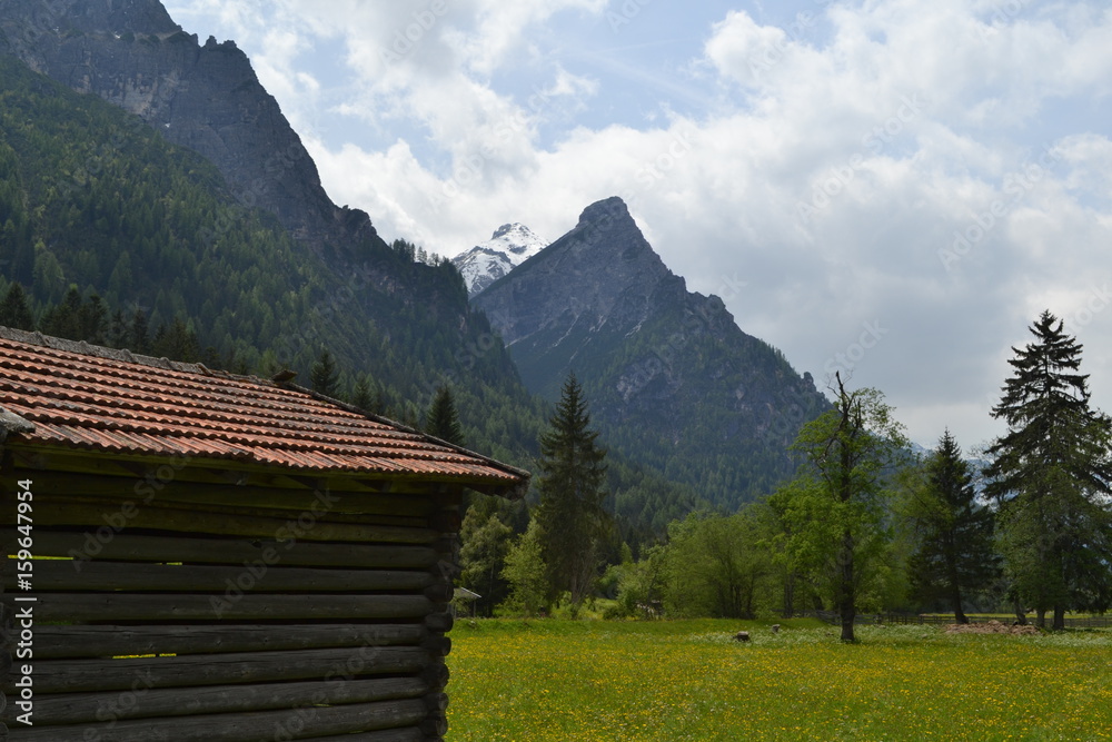 Hütte mit Berglandschaft in den Alpen
