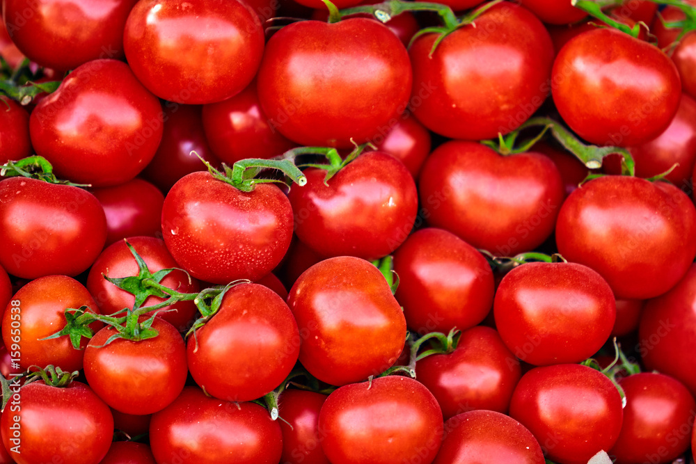 red tomatoes background. Group of tomatoes