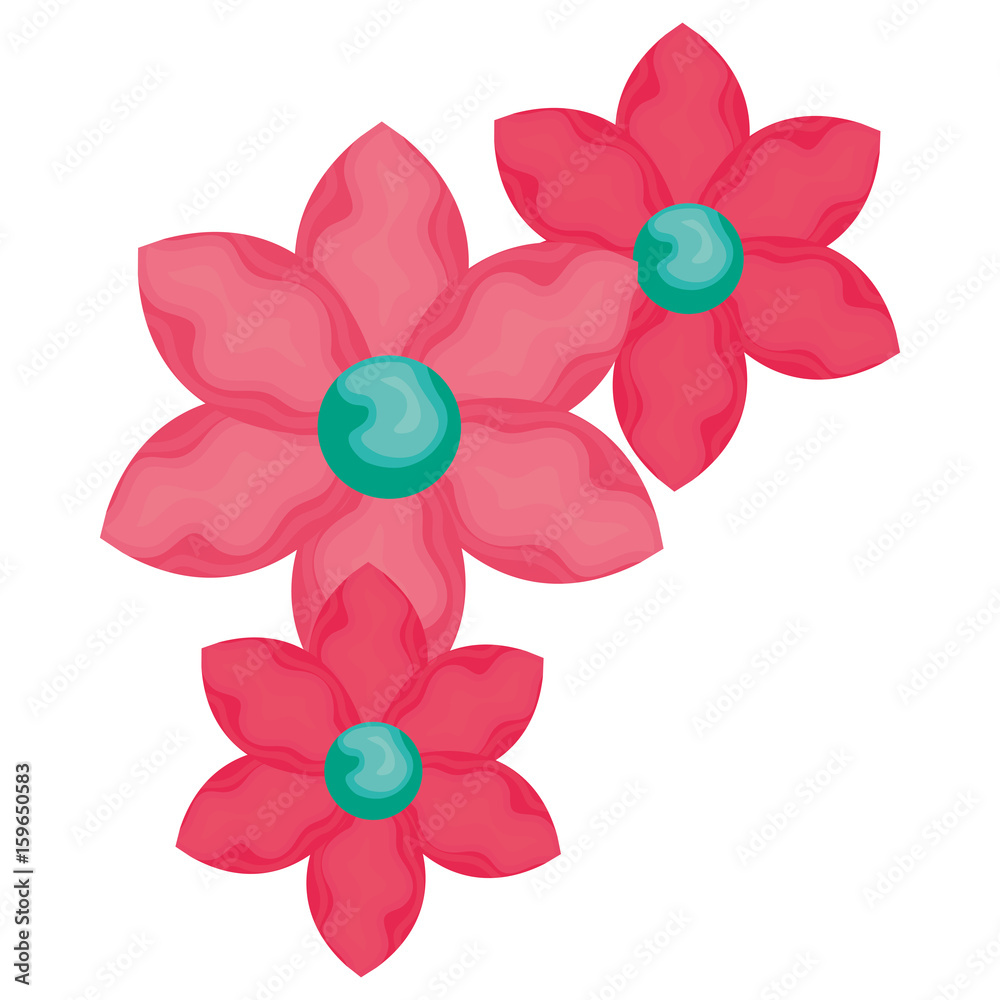 beautiful flowers decorative icon vector illustration design vector illustration design