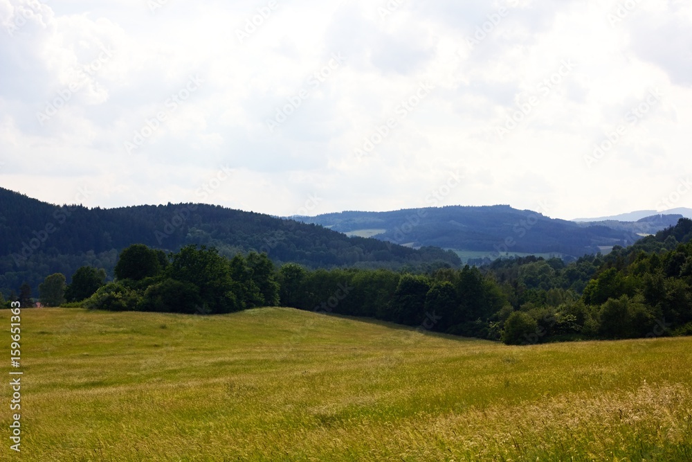 Summer landscape